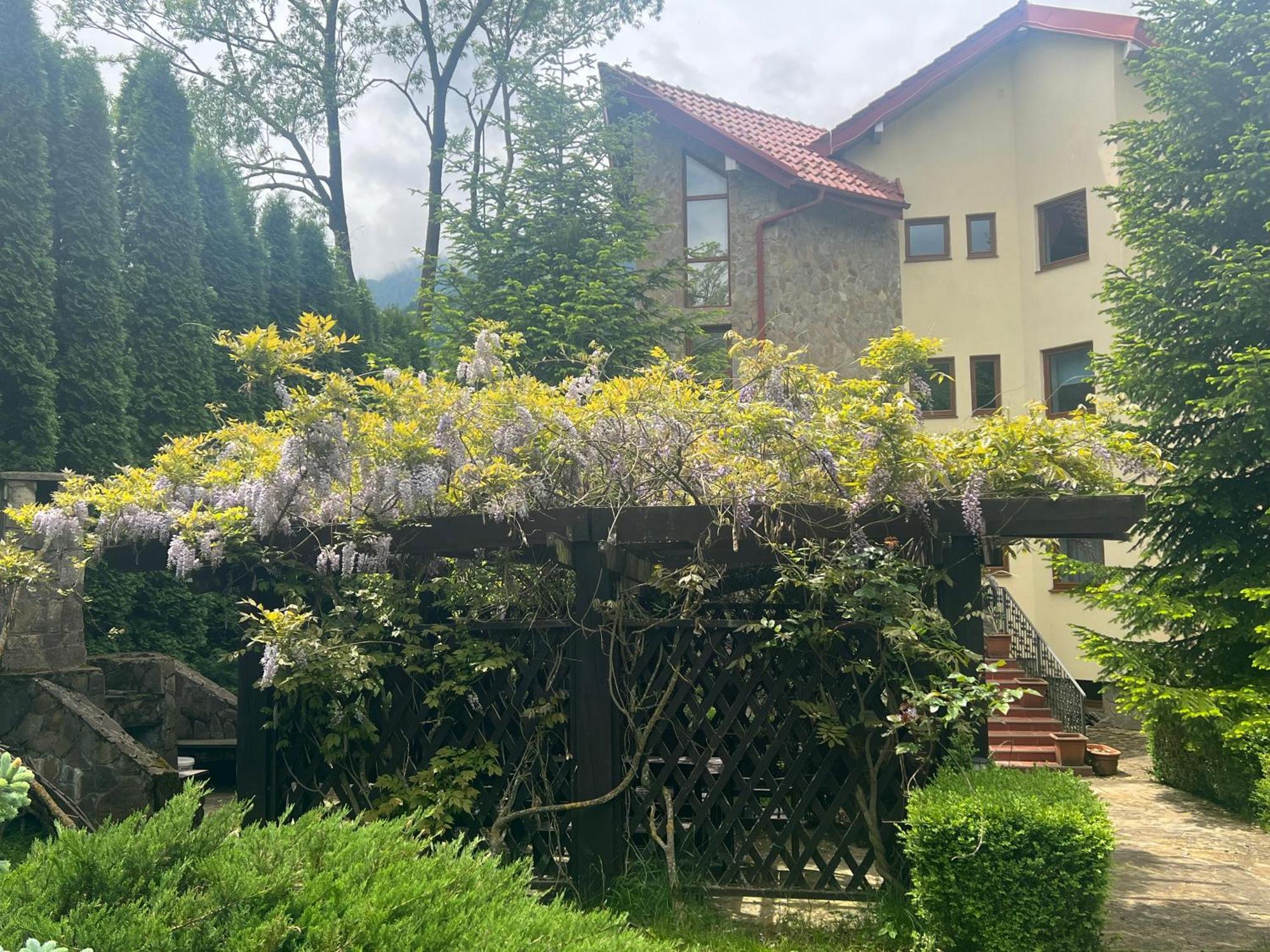 Wine Cellar Villa With Beautiful Garden In Sinaia - Busteni Poiana Tapului Zewnętrze zdjęcie