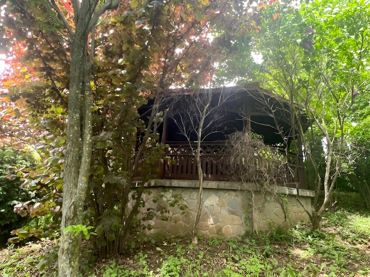 Wine Cellar Villa With Beautiful Garden In Sinaia - Busteni Poiana Tapului Zewnętrze zdjęcie